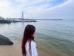 -瑶湖郊野森林公园