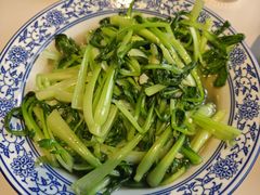 清炒鸡毛菜-欧记大排档·景德菜(上海首店)