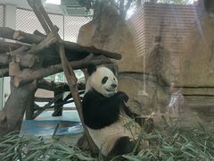 -成都动物园