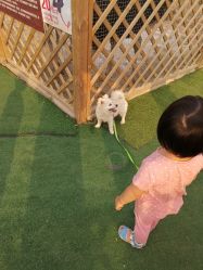 -萌宠亲子动物乐园(槐房万达店)