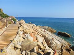 -广东惠东海龟国家级自然保护区