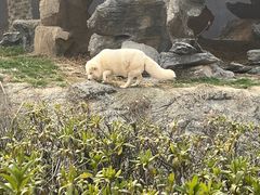-杭州野生动物世界