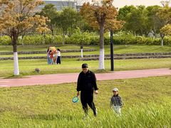 -春花秋色城市公园