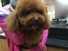 -宠小格时尚宠物生活馆(唐镇店)