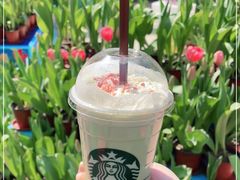 -星巴克(大宁店)