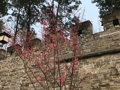 -老桂湖公园-杨升庵博物馆