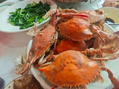 -渔民船说·北塘海鲜·天津菜·海肠捞饭(北塘古镇店)