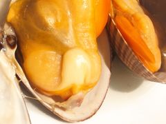 -正黄旗海鲜烧烤大排档(延安路总店)
