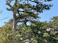 -妙峰山风景名胜区