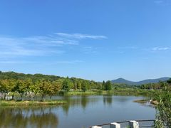 -佛手湖郊野公园