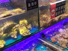 -SEA西雅图海鲜自助餐厅(海乐世界店)
