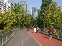 -北外滩滨江绿地