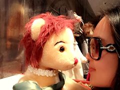 -济州岛泰迪熊博物馆