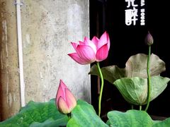 -听香·678茶铺(猛追湾店)