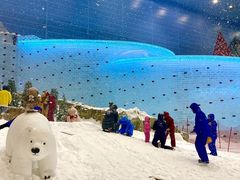 -广州热雪奇迹