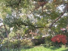 -浙江西子宾馆·瑶园咖啡厅