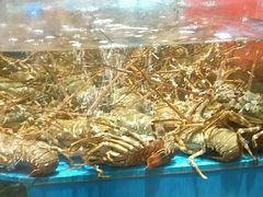 -阿伟海鲜楼·福建菜(延寿店)
