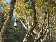 -湖畔居茶楼(湖滨店)