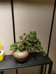 -盘子女人坊古装写真摄影(天津总店)