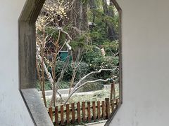 -趵突泉景区