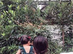 -观唐（国际）度假村温泉