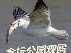 -大兴滨河森林公园