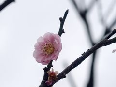 -昆山城市生态森林公园