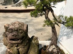 -青竺·青竹茶舍(断桥店)