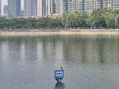 -西北湖绿化广场