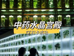 -广东中医药博物馆