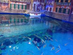 -华夏文旅海洋公园