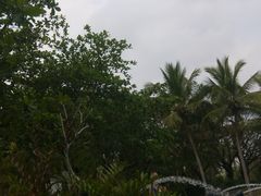 -三亚珠江南田温泉度假区