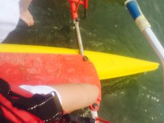 -碧海金沙