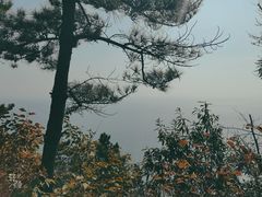 -燕窝岭