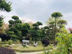 -武汉紫薇都市田园