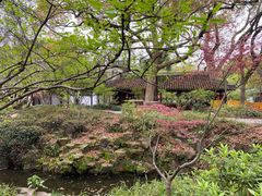 -上海醉白池公园