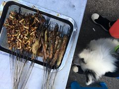 -宋文成烤肉(白沙巷店)