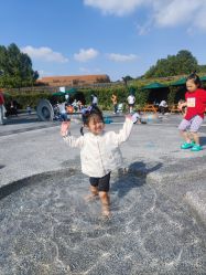 点击看大图 -季高兔窝窝亲子园(上海薰衣草公园店)