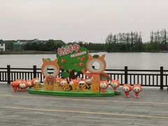 -上海长兴岛郊野公园