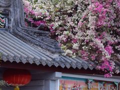 -深圳国际园林花卉博览园