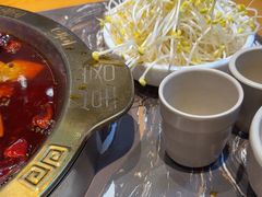 -堂客老火锅(欣阳广场总店)