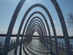 -大兴滨河森林公园