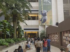 -深圳博物馆历史民俗馆
