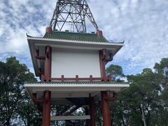 -金鸡山公园