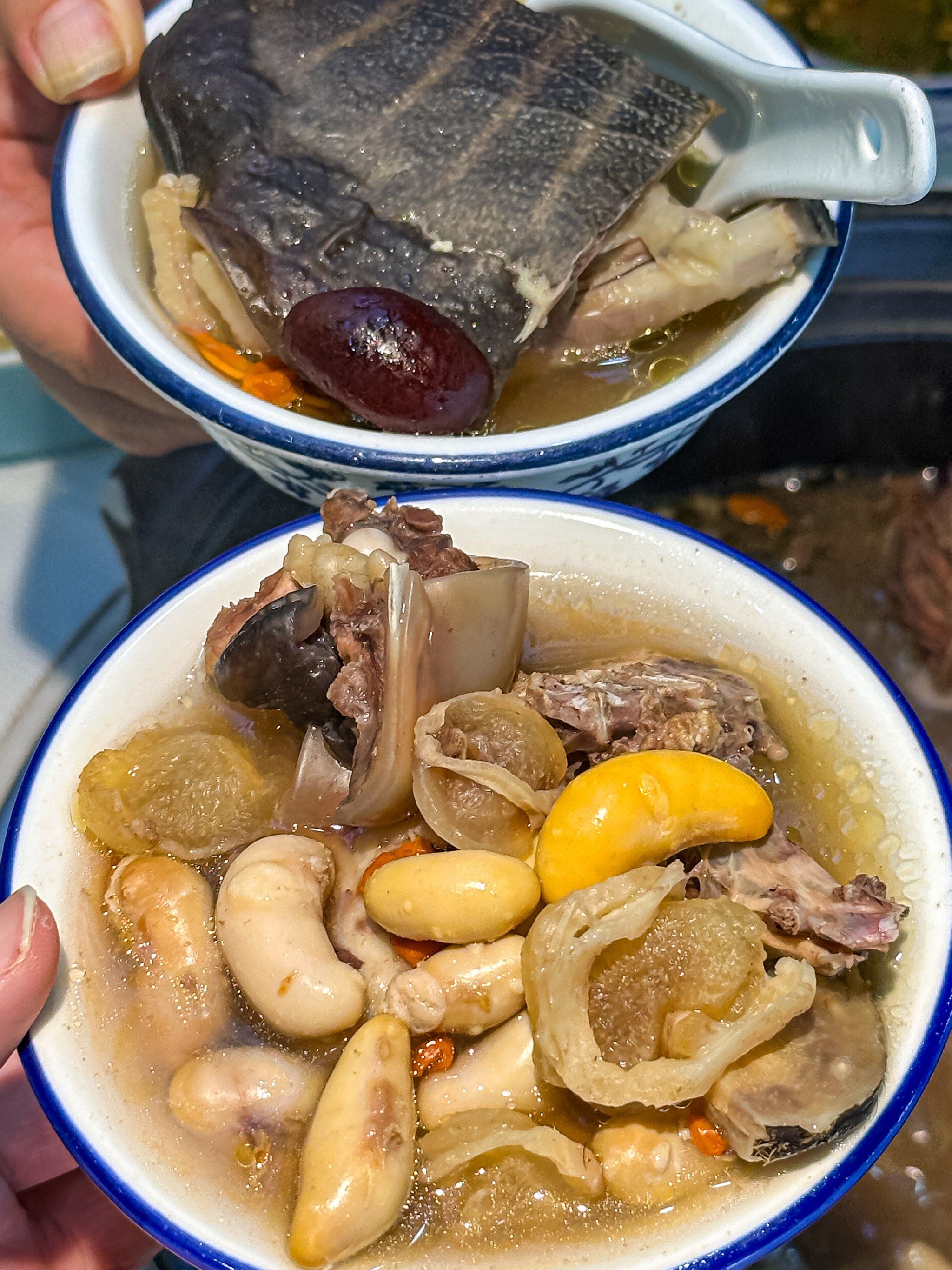 汤底
实在给力❗️❗️
加上鸡子,牛鞭,甲鱼
这等生猛