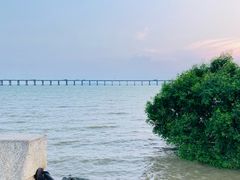-宝安西湾红树林湿地公园