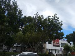 -大丰苑(海韵店)