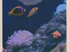 -成都浩海立方海洋公园