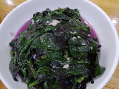 -全乐鱼馆·淳牌有机鱼直营店