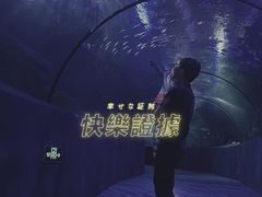 -梦幻海洋王国(吾悦广场张家港店)